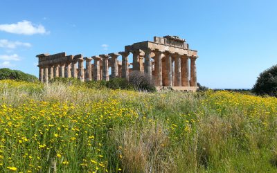 Viaggio in Sicilia: Selinunte