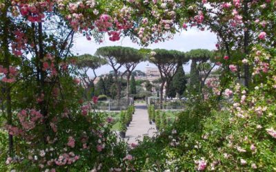 Riapre il roseto comunale di Roma