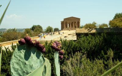 Riapre ad Agrigento lo splendido giardino di Villa Aurea