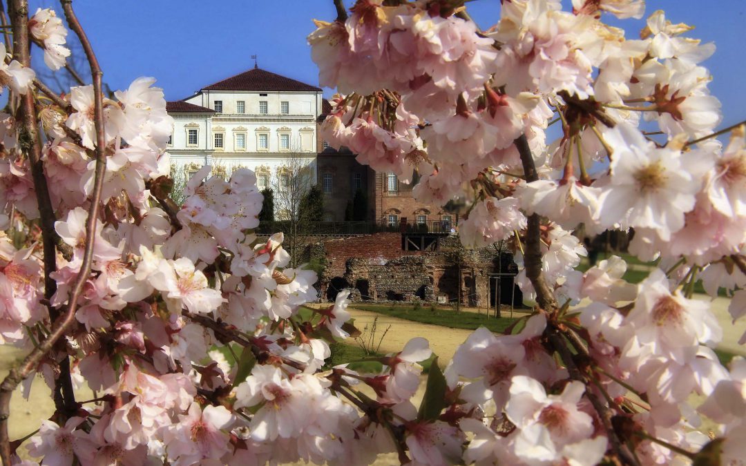 I Giardini della Venaria vincono il premio: “Il parco più bello d’Italia”