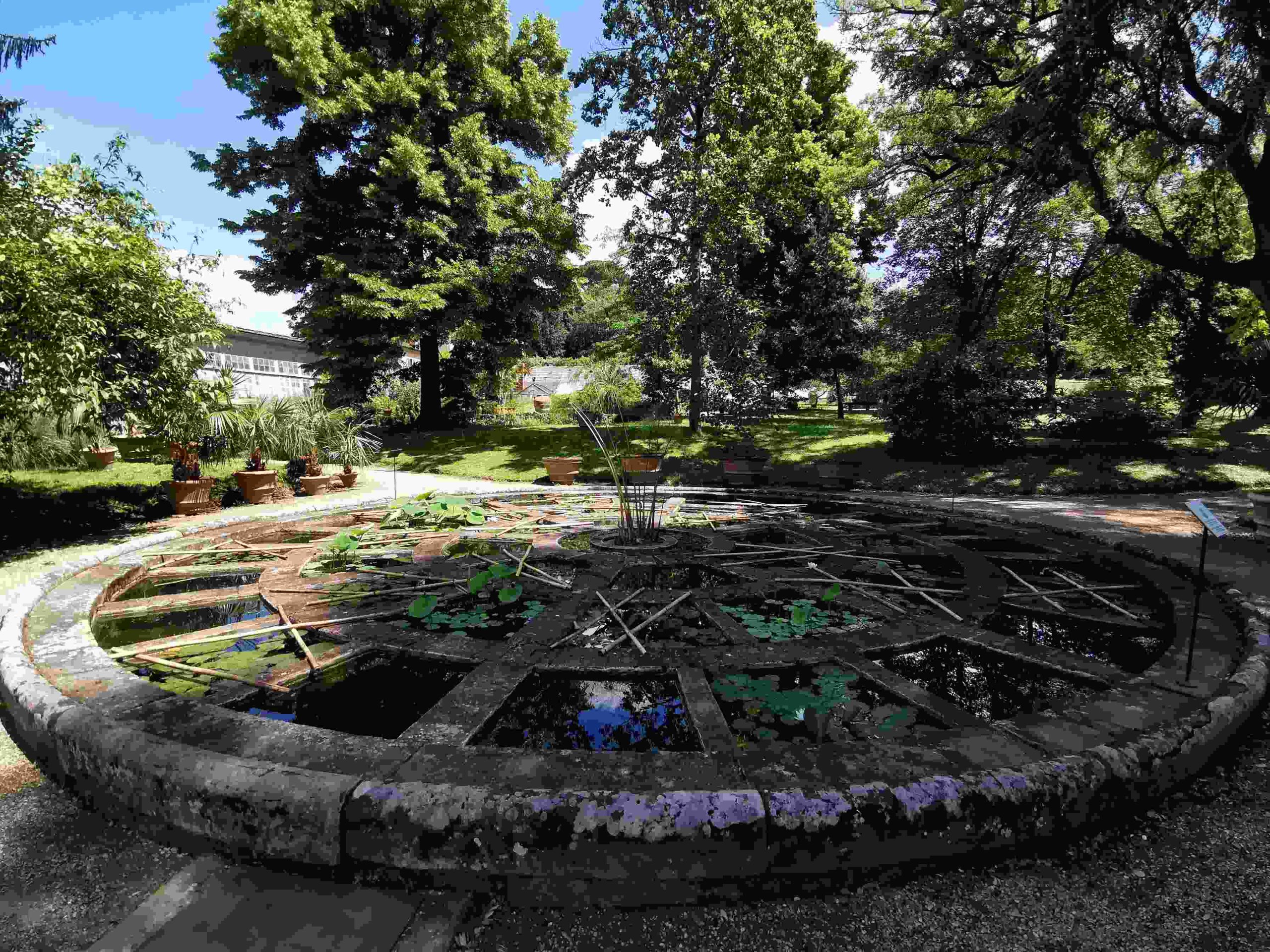 Botanica Superiore