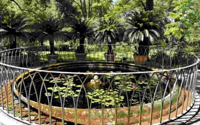 Boboli diventa Giardino dei sensi