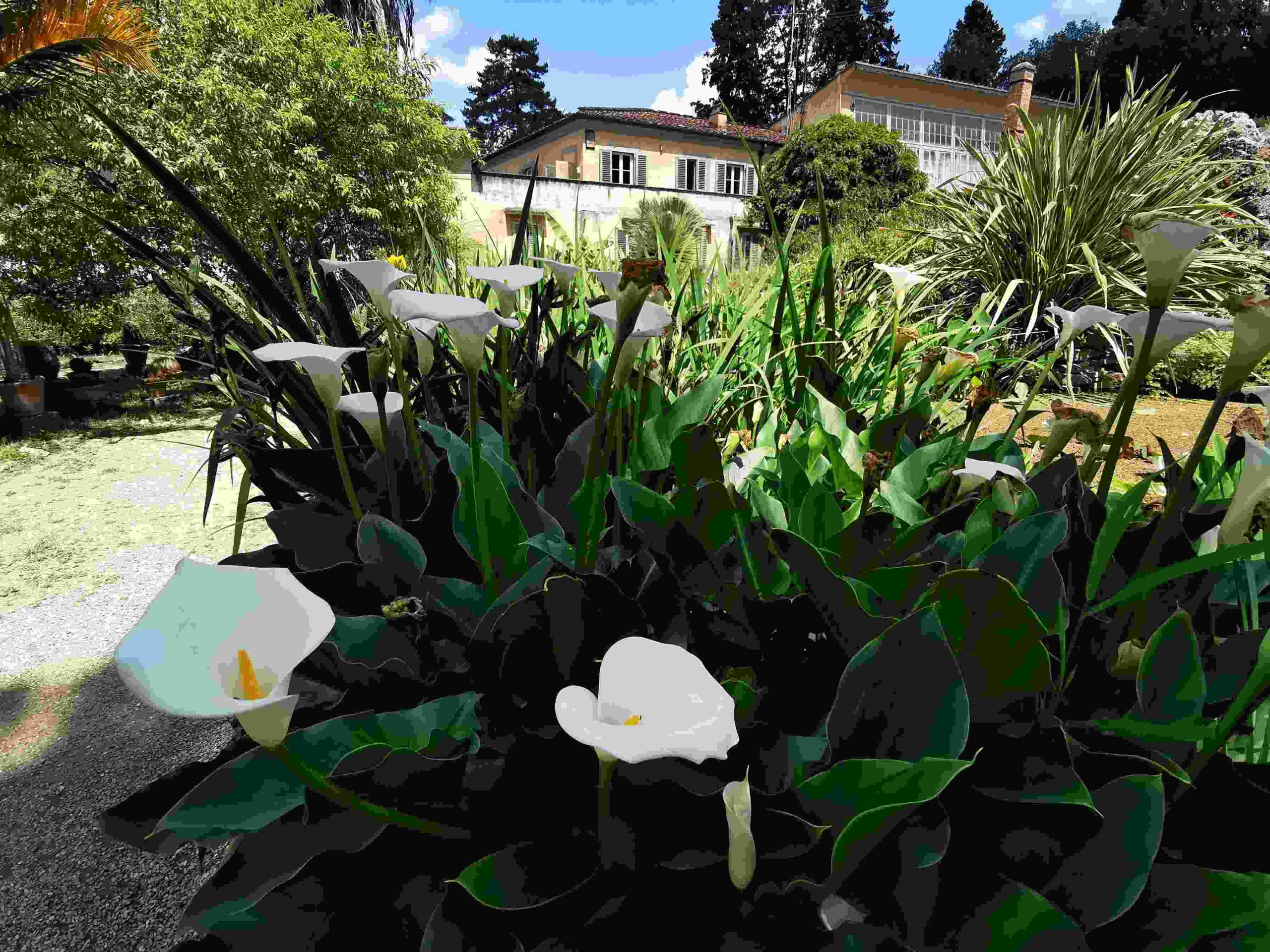 Boboli diventa Giardino dei sensi