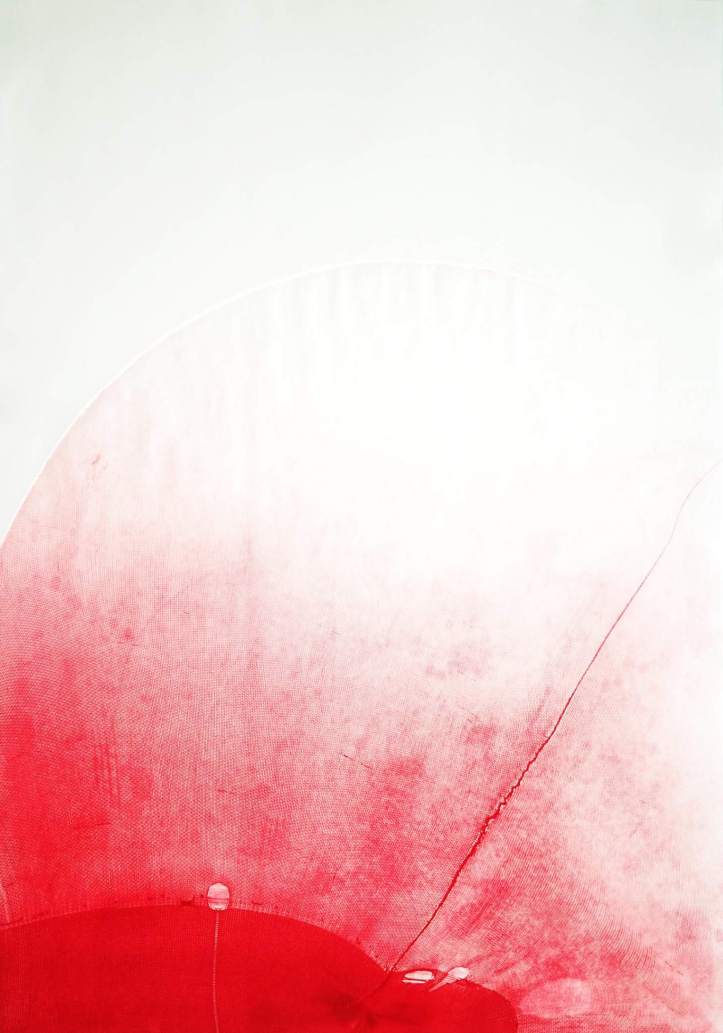Eleni Kindini, Close up Red I (2024), Monotipo su carta Fabbriano Rosaspina, 100 x 70 cm 230X120cm