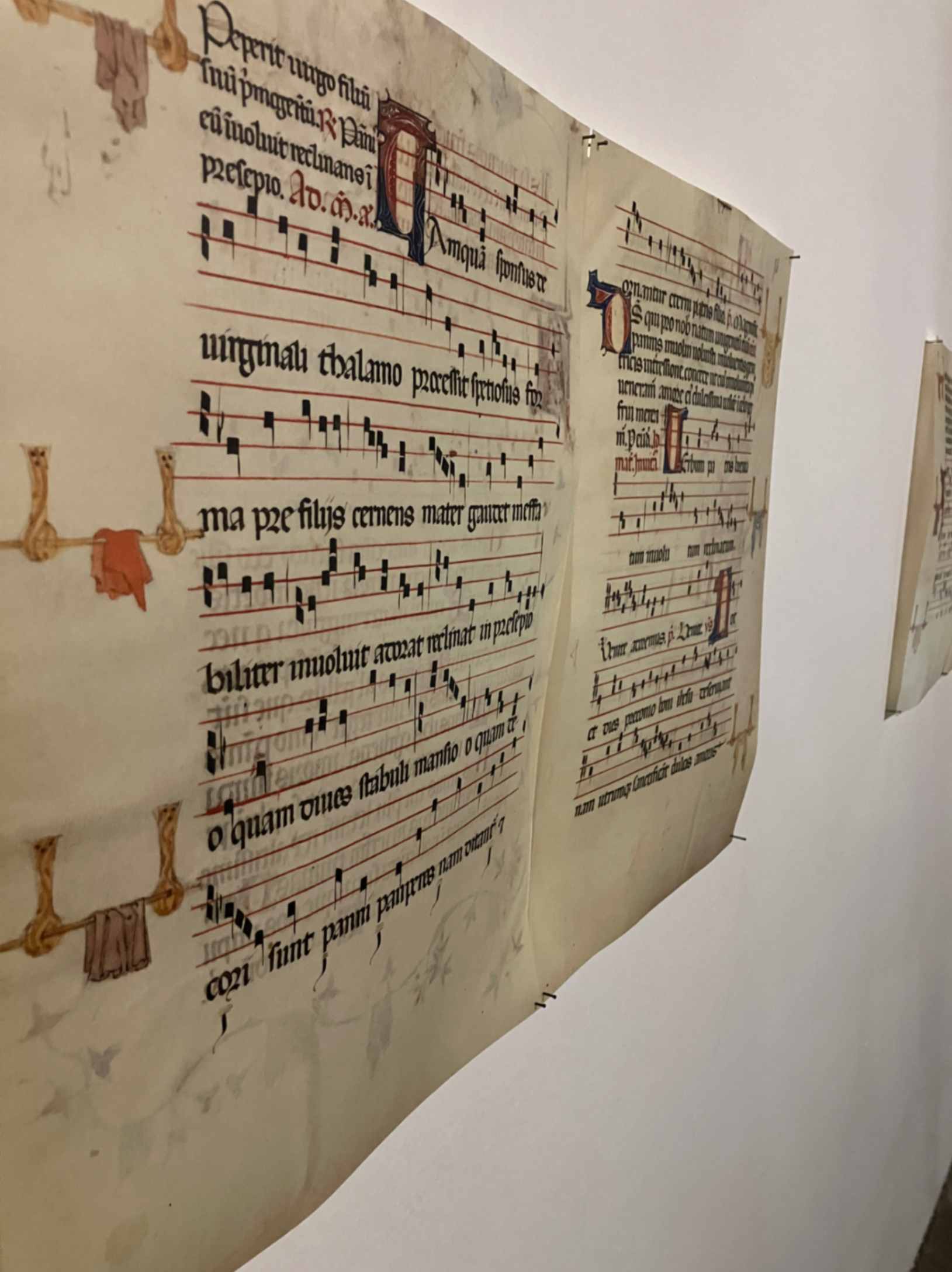 un'opera da Cambiare la prosa del mondo - Mostra dei borsisti di Villa Medici 2025