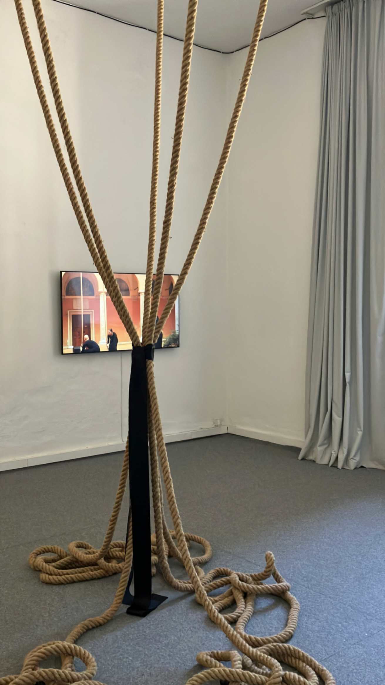 alla mostra Processi 152, l'opera di Ester Guntín, Tornaveu