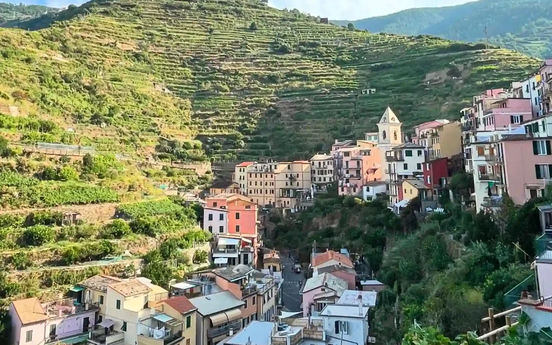 Trekking al tramonto tra i vigneti della Fondazione Manarola, alla scoperta del progetto Stonewallsforlife, domenica 31 agosto alle ore 17,30