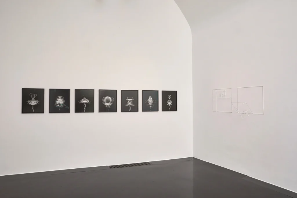 installazioni dalla mostra