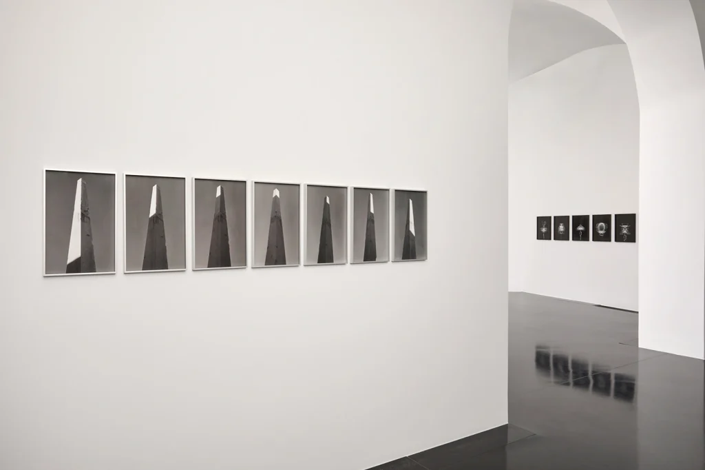 installazioni dalla mostra