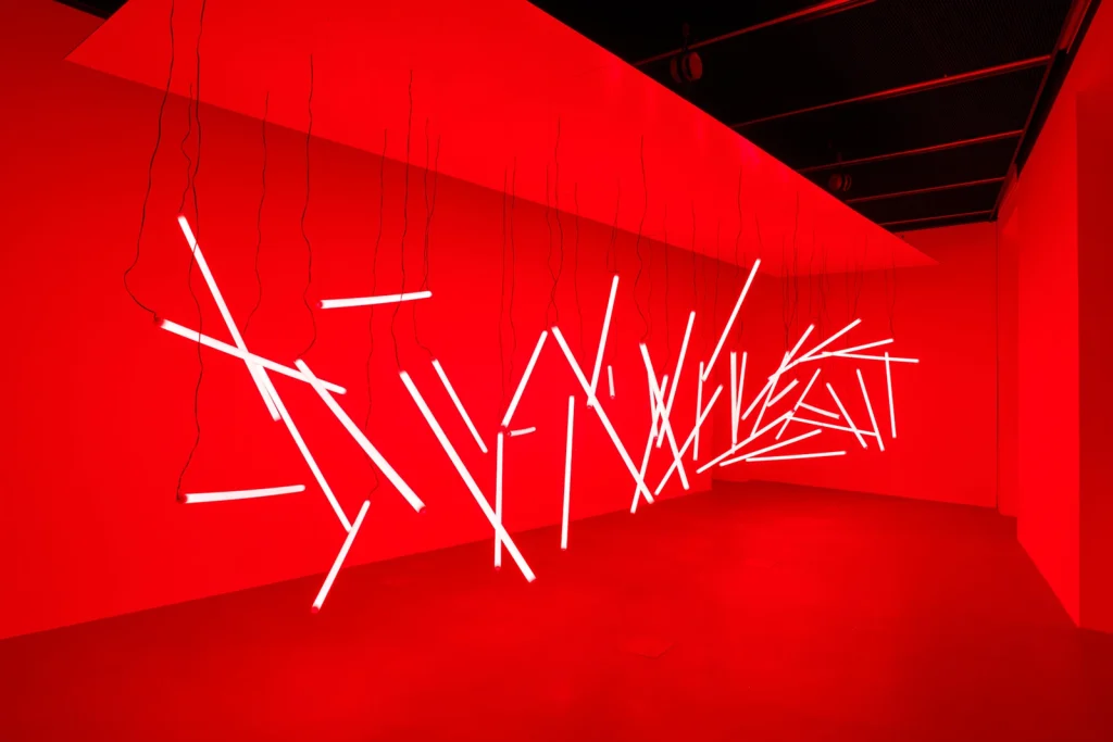 installazioni dalla mostra