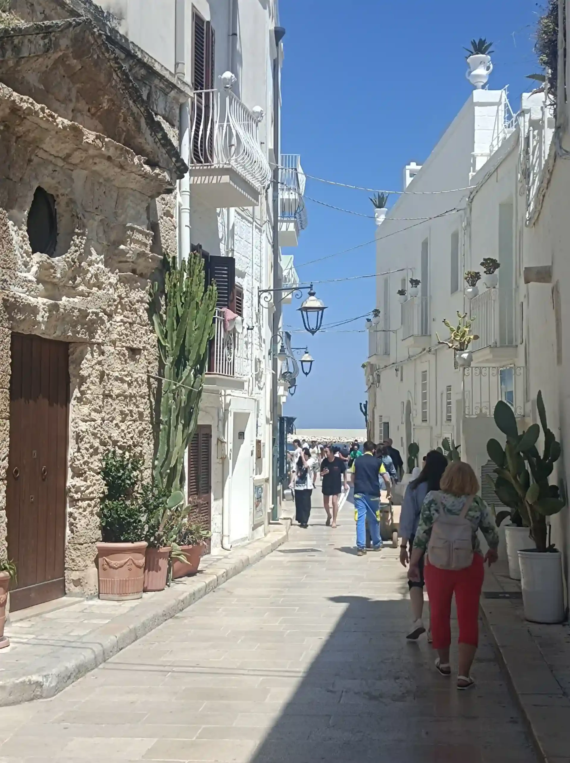 Monopoli. Foto di Valentina Tatti Tonni