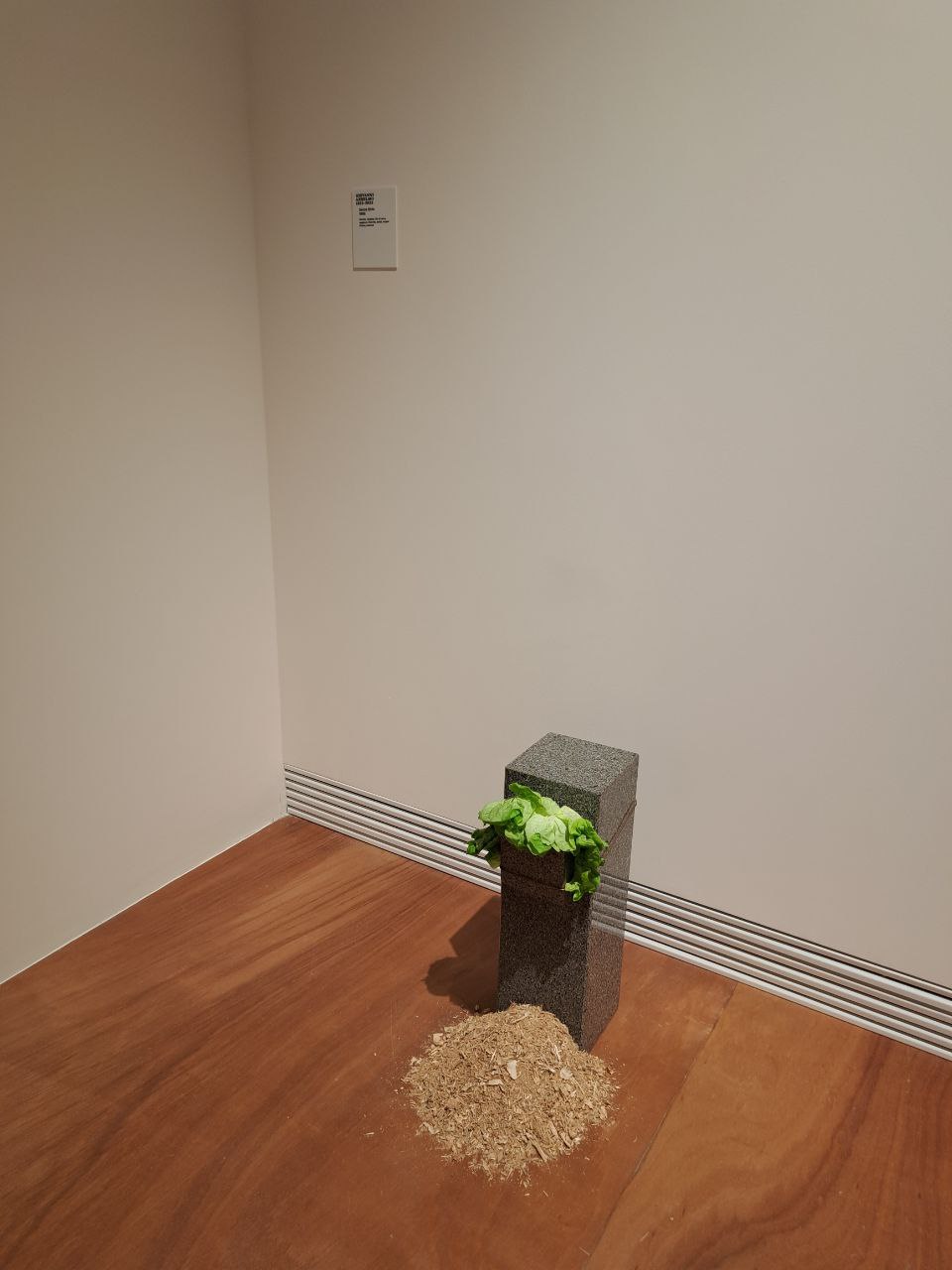 allestimenti della Sonnabend Collection Mantova