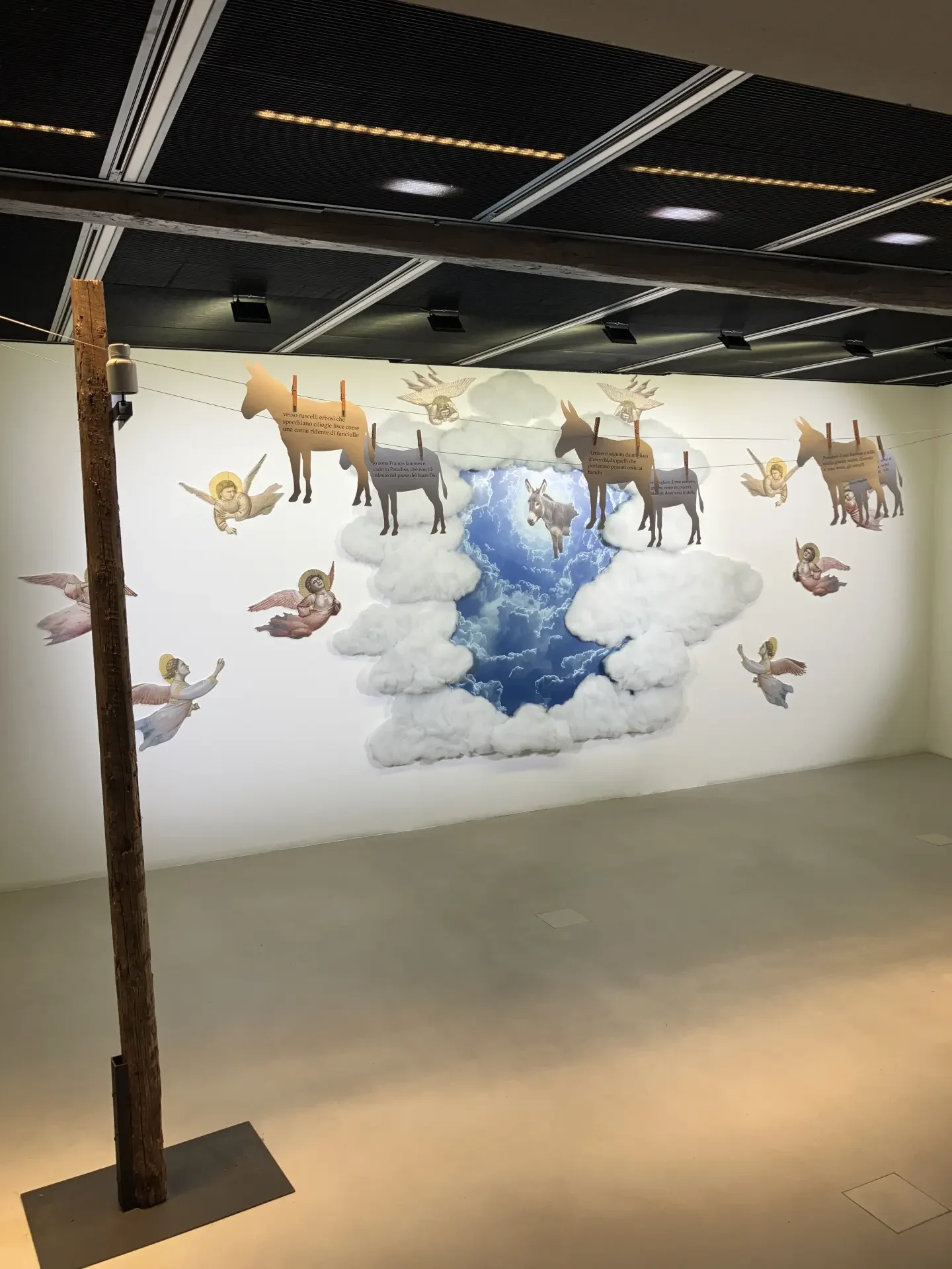 l’action set di Raffaele Curi