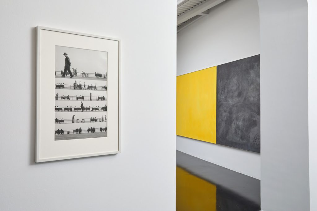 installazioni dalla mostra Bigaignon x rhinoceros gallery “Atto 2/3: Col Tempo”