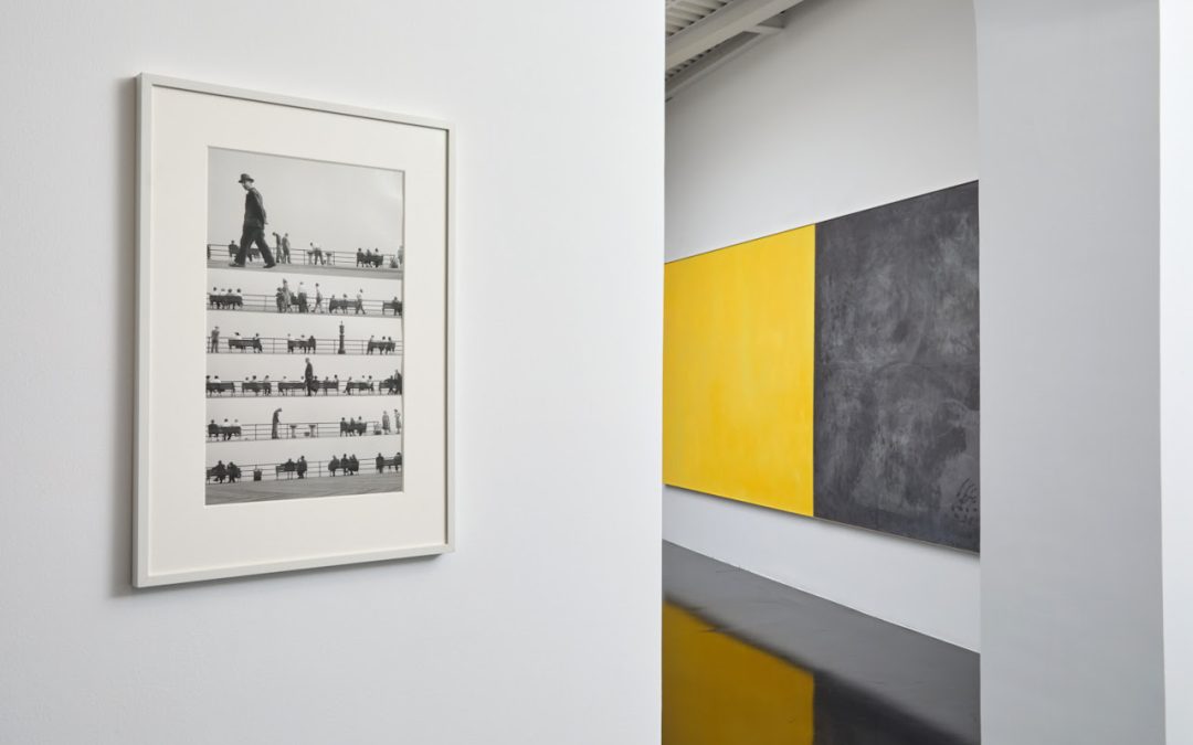 installazioni dalla mostra Bigaignon x rhinoceros gallery “Atto 2/3: Col Tempo”