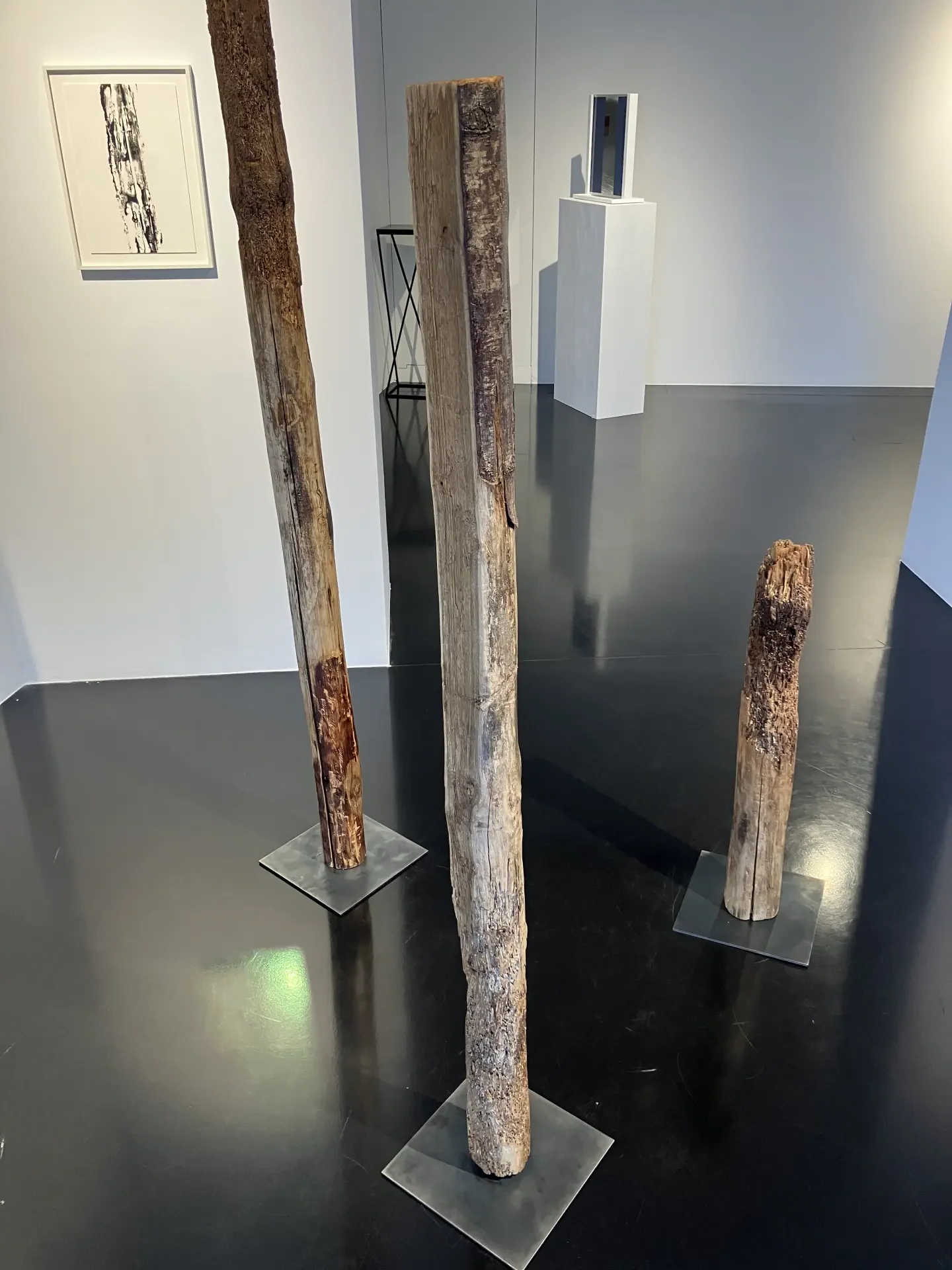 in primo piano, Veni Etiam Bricola, opere di Renato D'Agostin. Foto di Alessandro Turillo