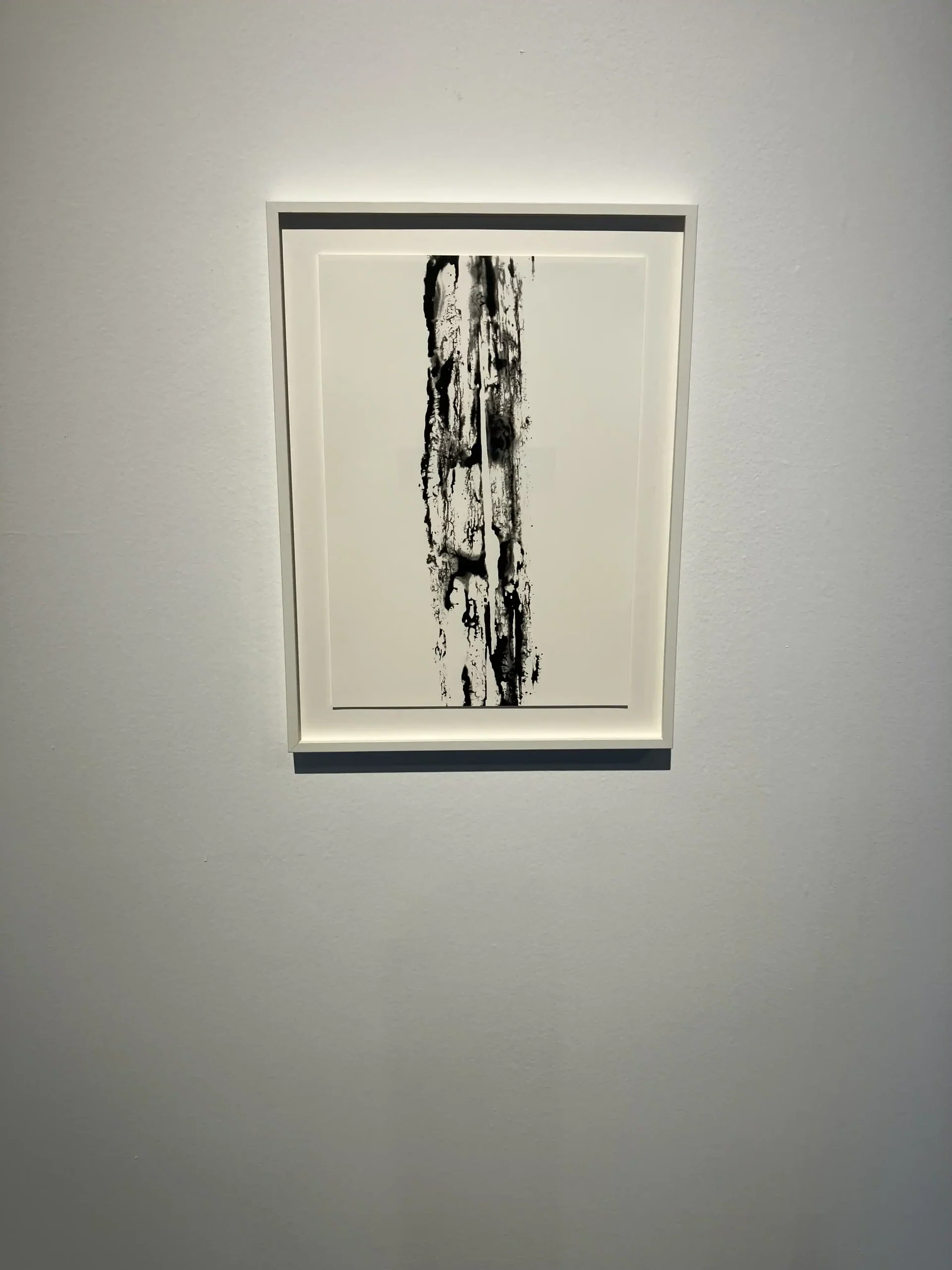 Veni Etiam Aer, opera di Renato D'Agostin. Foto di Alessandro Turillo