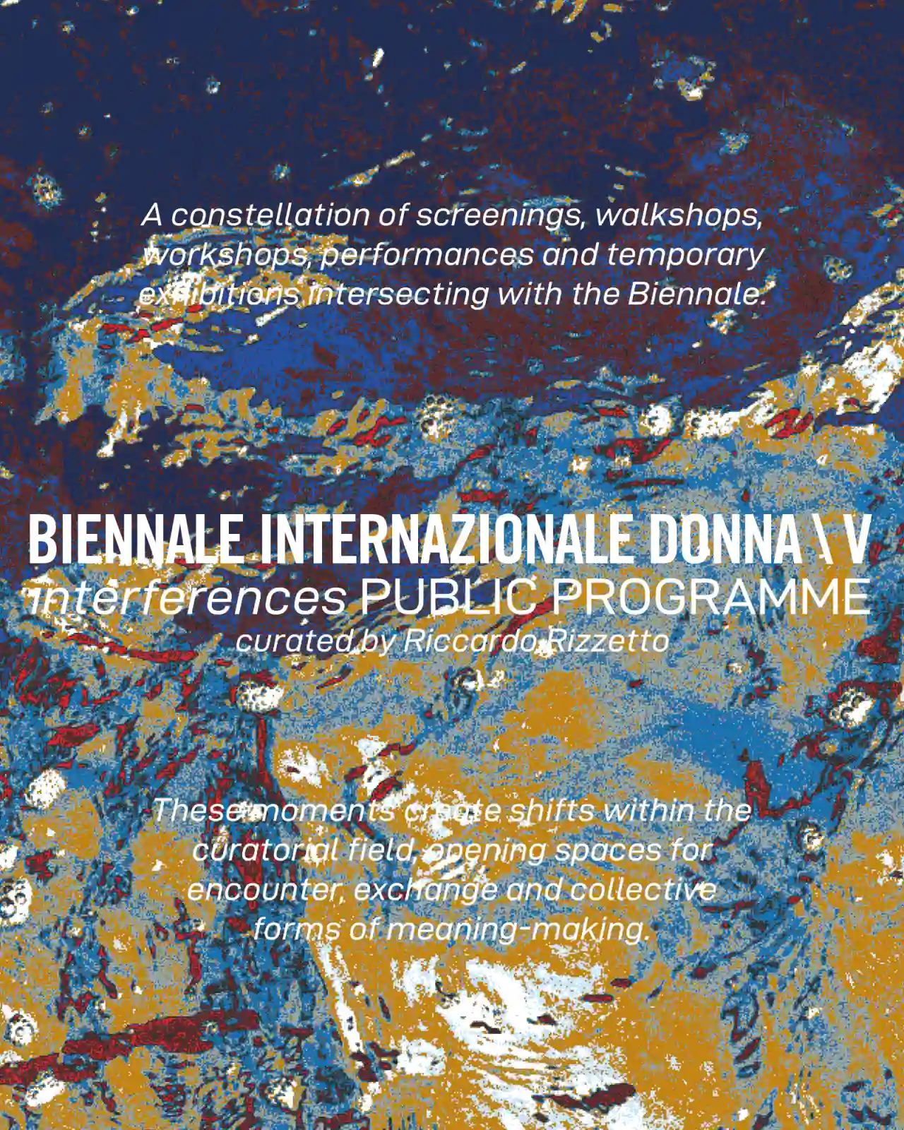 il Public programme della BID V