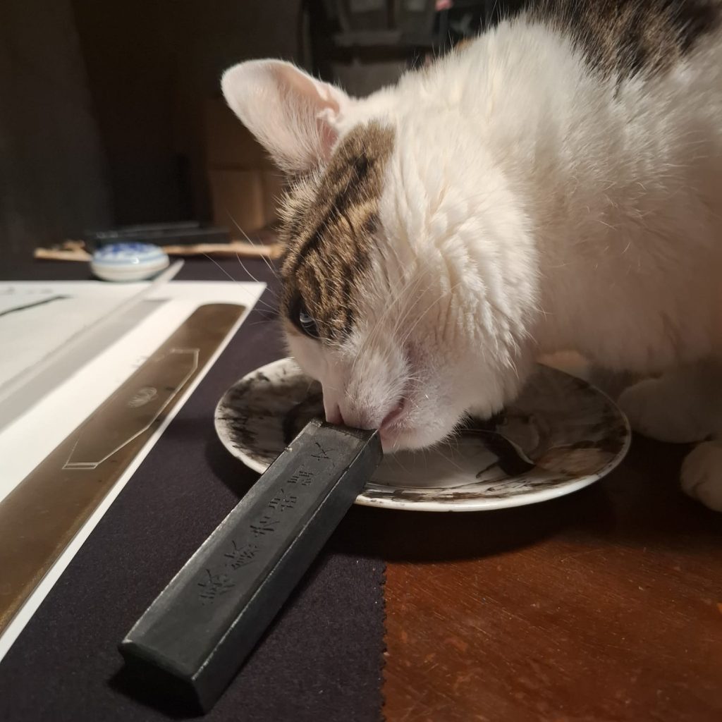 immagini da Saluti al giorno, mostra di Alessio Moitre e Elyron Unthink Foto di Luca Swanz Andriolo