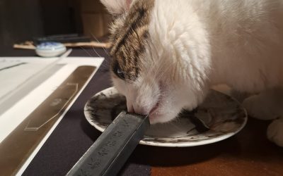 Saluti al giorno, mostra di Alessio Moitre ed Elyron Unthink