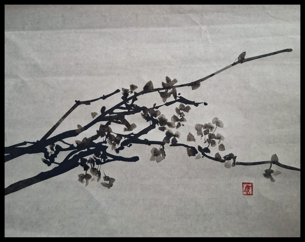 immagini da Saluti al giorno, mostra di Alessio Moitre e Elyron Unthink Foto di Luca Swanz Andriolo