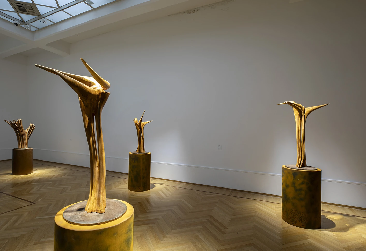 allestimenti della mostra